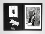 Charlie Chaplin Iconics - Collection n°1 - Serie 4 -Fine Art, Collections