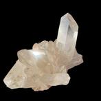 Gratis verzending naar Europa -> Museumformaat sculpturale, Verzamelen, Mineralen en Fossielen