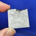 Muonionalusta METEORITE (Zweden, 1906) Mooi, Collections