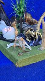 Corbeau freux en anderen Taxidermie wandmontage - Corvus