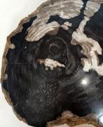 Table basse - Bois fossile - tranche pour table dappoint