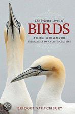 The Private Lives of Birds 9780802717467 Bridget Stutchbury, Boeken, Verzenden, Zo goed als nieuw, Bridget Stutchbury