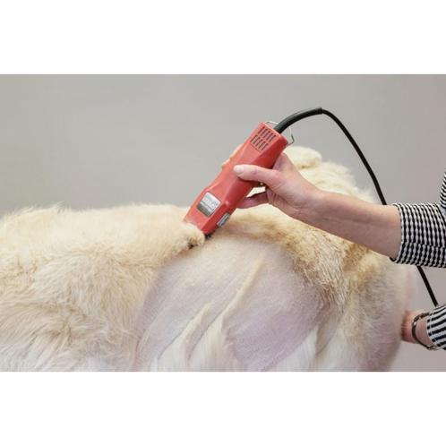 Tondeuse aesculap favorita speed, sur secteur - kerbl, Dieren en Toebehoren, Honden-accessoires