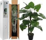 NIEUW - Kunstplant Taro 120 cm, Maison & Meubles, Plantes d'intérieur, Verzenden