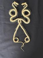 Slang Taxidermie volledige montage - Trimeresurus albolabris, Collections