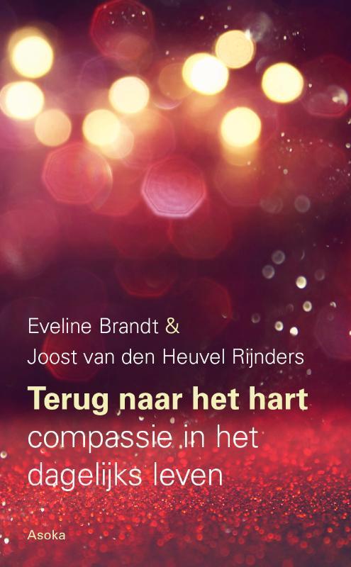 Terug naar het hart 9789056704155 Eveline Brandt, Boeken, Filosofie, Zo goed als nieuw, Verzenden