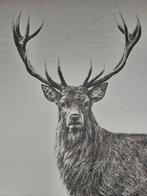 Nieuw arazzo in jacquard van alpaca Il Re della foresta, Antiek en Kunst