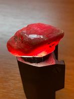 Robijn Echte parel! Indrukwekkende 118 Ct. Mozambique Blood