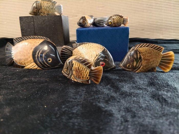 Collectie met dierenthema - 7 vissen van buffelhoorn, Antiek en Kunst, Curiosa en Brocante