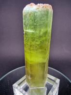 Heliodor Extra zeldzaam - Hoogte: 105 mm - Breedte: 36 mm-