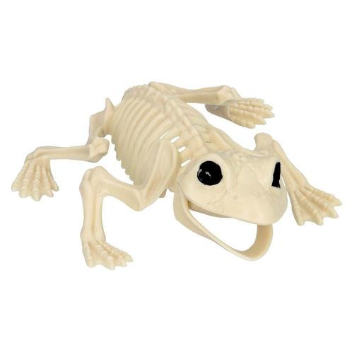 Halloween Kikker Skelet 17cm, Hobby en Vrije tijd, Feestartikelen, Nieuw, Verzenden
