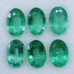 6 pcs Vert Émeraude - 2.54 ct - Instituto Gemólogico Español, Handtassen en Accessoires, Edelstenen, Nieuw