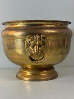 hh - Bloempot - Klassieke Messing Cachepot met Leeuwenkoppen, Antiek en Kunst