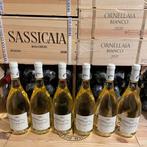 2023 Tenuta Campo di Sasso Biserno, Bibbona “Occhione” -, Nieuw