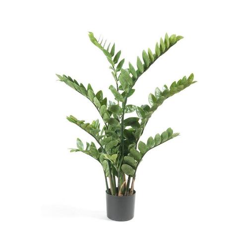 Kunstplant - Zamioculcas - Kamerpalm - 110 cm, Maison & Meubles, Accessoires pour la Maison | Plantes & Fleurs artificielles