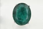 Zonder minimumprijs - Ring Platina - 36.27ct. tw. Smaragd -, Nieuw