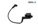 Bobine Ducati Monster 796 2009-2014 (M796), Motoren, Verzenden, Nieuw