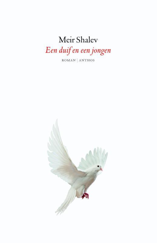 Een duif en een jongen 9789041422927 Meir Shalev, Boeken, Romans, Gelezen, Verzenden