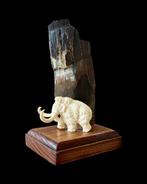 Wolharige mammoet Slagtand - Mammoet Beeld. Gemaakt van