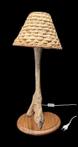 Afrikaanse Struisvogelpoot gemonteerd als lampstandaard -