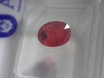 Certified Natural Ruby - 1.35ct - Madagascar - sealed, Nieuw, Verzenden