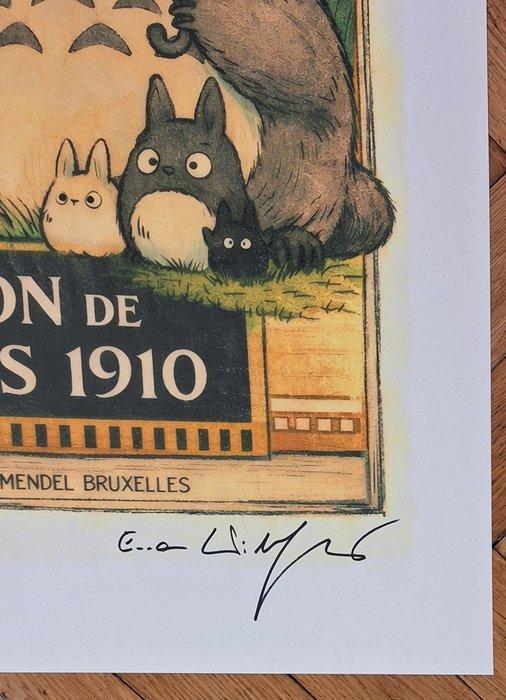 Emma Wildfang - Totoro The Arrival of Unexpected Guests -, CD & DVD, DVD | Films d'animation & Dessins animés