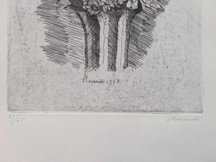 Giorgio Morandi (1890 - 1964) - Zinnie, Antiek en Kunst, Antiek | Overige Antiek
