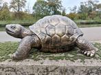 Beeld, sculpture large turtle 72 cm length in bronze color -