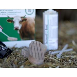 Technovit-2-bond avec pistolet de dosage, Articles professionnels, Agriculture | Aliments pour bétail