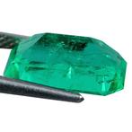 Groen Smaragd - 8.92 ct - Guild Gem Laboratory, Nieuw