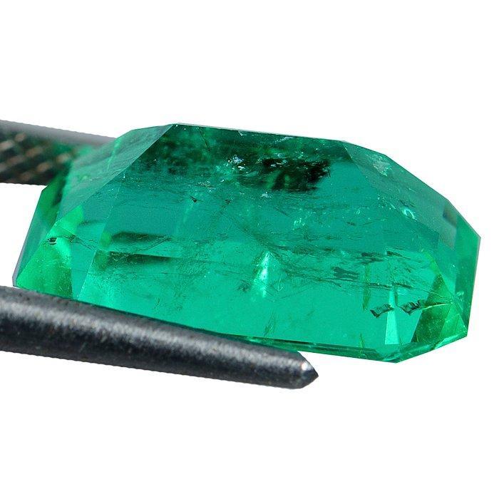Groen Smaragd - 8.92 ct - Guild Gem Laboratory, Handtassen en Accessoires, Edelstenen