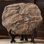 Squelette fossile du Quetzalcoatlus XXL (réplique) -, Nieuw