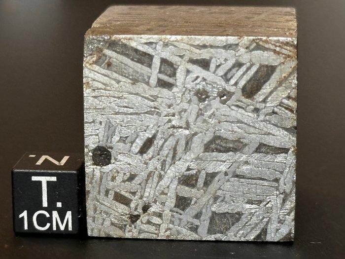 Aletai meteoriet Kubus - Hoogte: 29 mm - Breedte: 29 mm -, Verzamelen, Mineralen en Fossielen