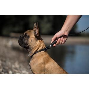 Guide leash goleygo flat, bla. adapter pin, 10mm x 140-200cm, Animaux & Accessoires, Accessoires pour chiens