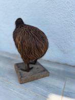 KIWI AUSTRAL Support de corps entier pour taxidermie -, Nieuw