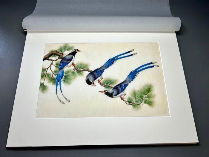 Fijn antiek schilderij op pith, vogels en bloemmotieven,, Antiquités & Art, Antiquités | Autres Antiquités