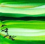 Giorgio Bergallo - STRISCE DI PRATO