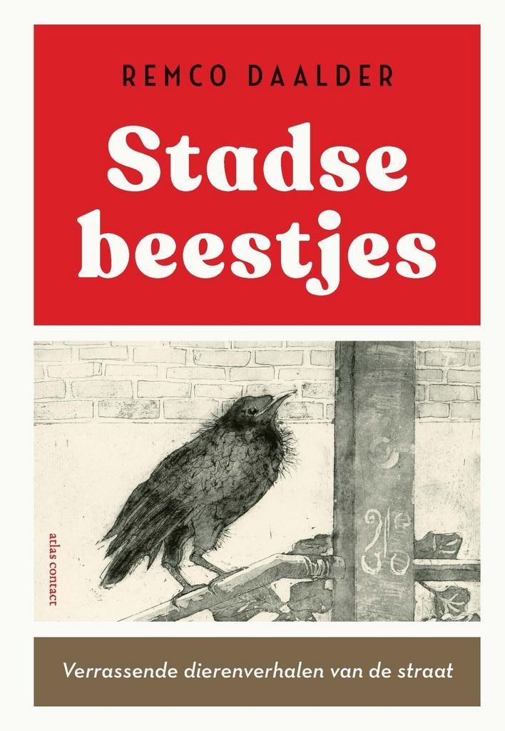 Stadse beestjes (9789045048178, Remco Daalder), Boeken, Overige Boeken, Nieuw, Verzenden