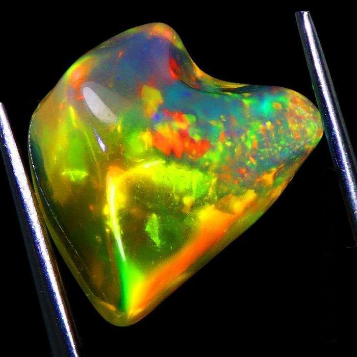 6,49 ct 1,40 cm grosser fijnster Welo-opaal naturopal uit, Verzamelen, Mineralen en Fossielen