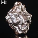 Campo del Cielo - Meteoriet – Buitenaards fragment - Hoogte: