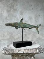 sculptuur, NO RESERVE PRICE - Bronze patinated Hammerhead