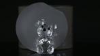 Figuur - Swarovski - Zittende Beer (Boxed + Certificate) -