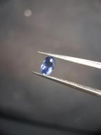 Natural Iolite - 0.430 ct - oval - unheated - bluish violet-, Verzenden