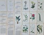 Francois Pierre Chaumeton / Ernestine Panckoucke - Lot with, Antiek en Kunst
