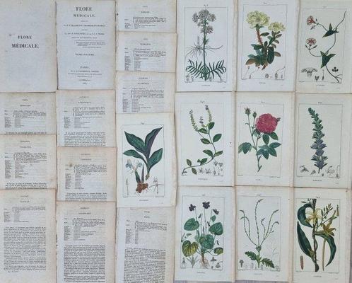 Francois Pierre Chaumeton / Ernestine Panckoucke - Lot with, Antiek en Kunst, Antiek | Boeken en Manuscripten