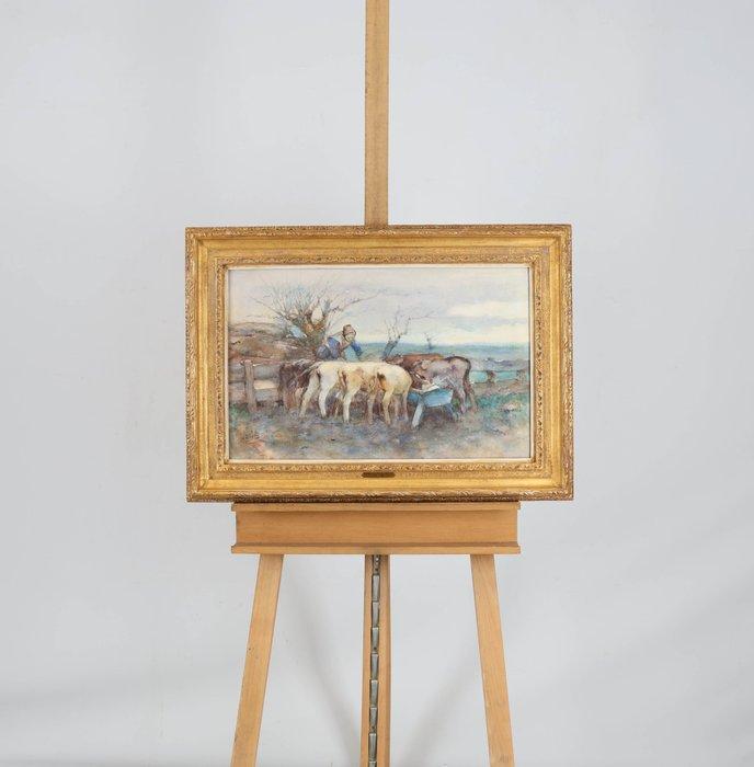 Willem Hendrik van der Nat (1864–1929) - Kalven voeren, Antiquités & Art, Art | Peinture | Classique
