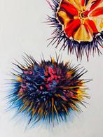 Antonio Valenzuela - Erizos de Cádiz