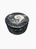 DesignDose – botkleurige ammoniet op grafietzwarte matrix |, Antiek en Kunst, Curiosa en Brocante