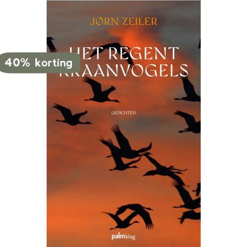 Het regent kraanvogels 9789493343092 Jørn Zeiler, Boeken, Overige Boeken, Zo goed als nieuw, Verzenden
