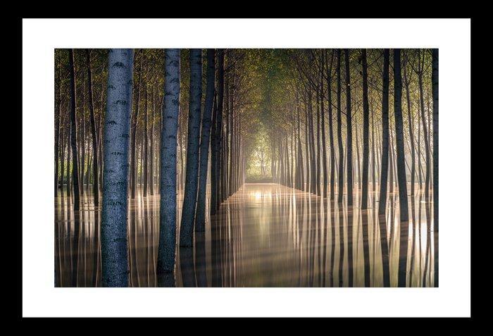 Sergio Sberna - Terre basse, Antiquités & Art, Art | Objets design